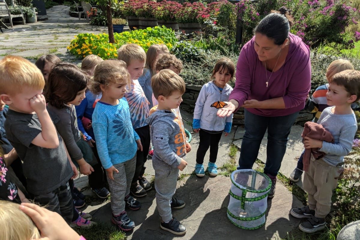 The Homestead School - A Private Montessori School In The Catskills